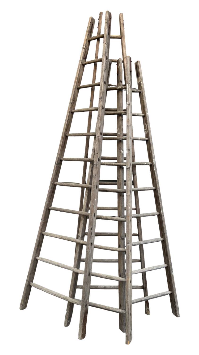 Lot 4 large painter's ladders carrying wood 1950