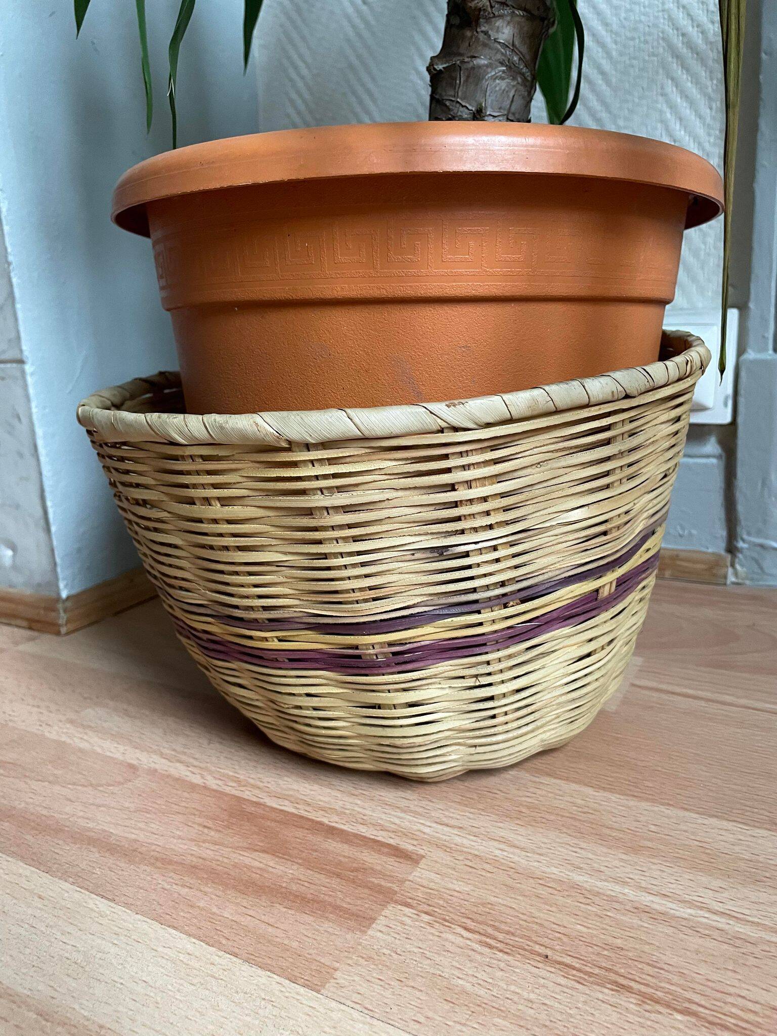 Wicker plant pot