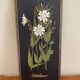 4 plaques fleurs vintage