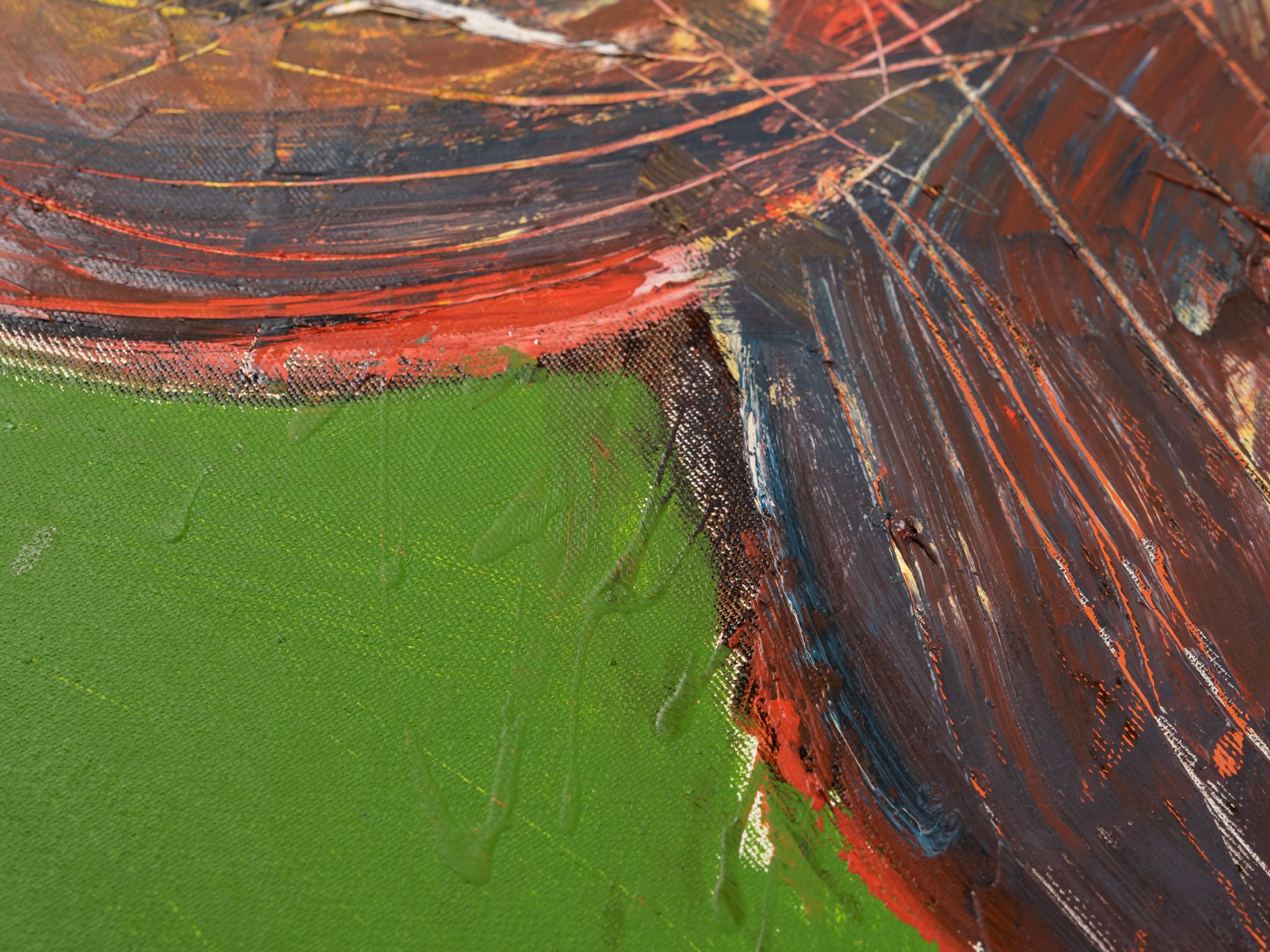 Fly, Oil on Canvas, 50 x 70 cm