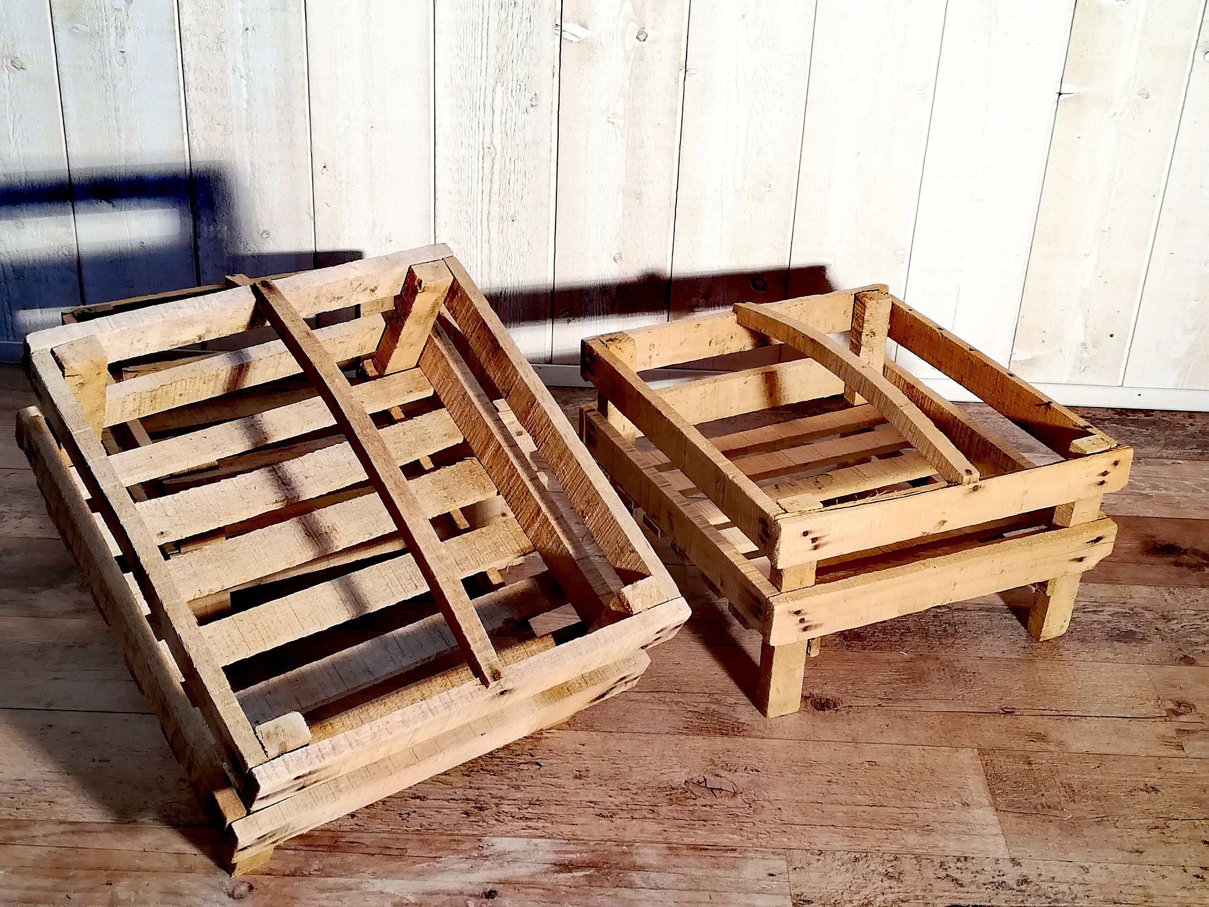 Trio de plateaux maraîchers
