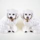 Figurines de chien en céramique, style anglais, années 1970, fabriquées en Angleterre.
