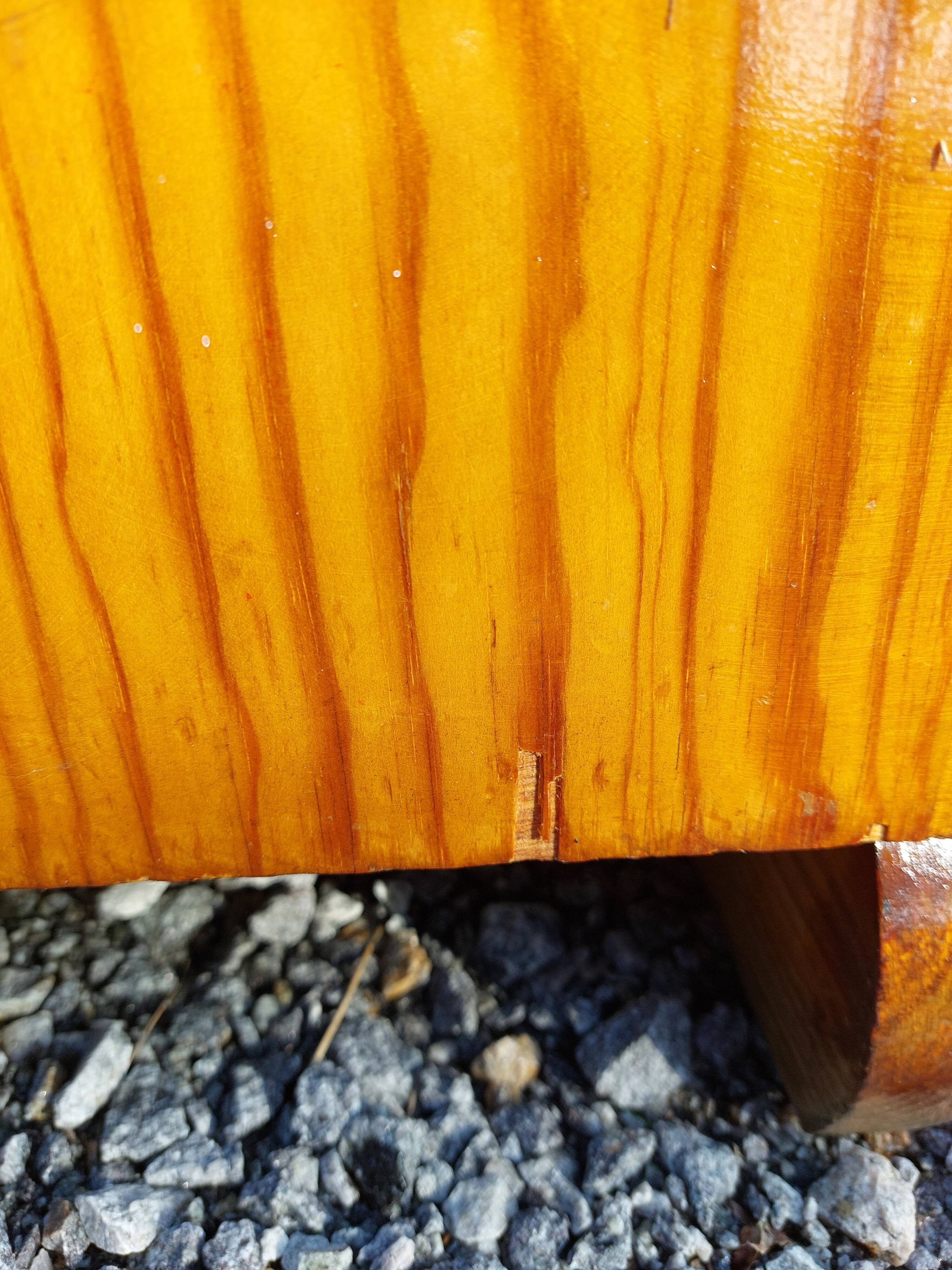 Whole Mado buffet, golden honey color