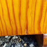 Whole Mado buffet, golden honey color