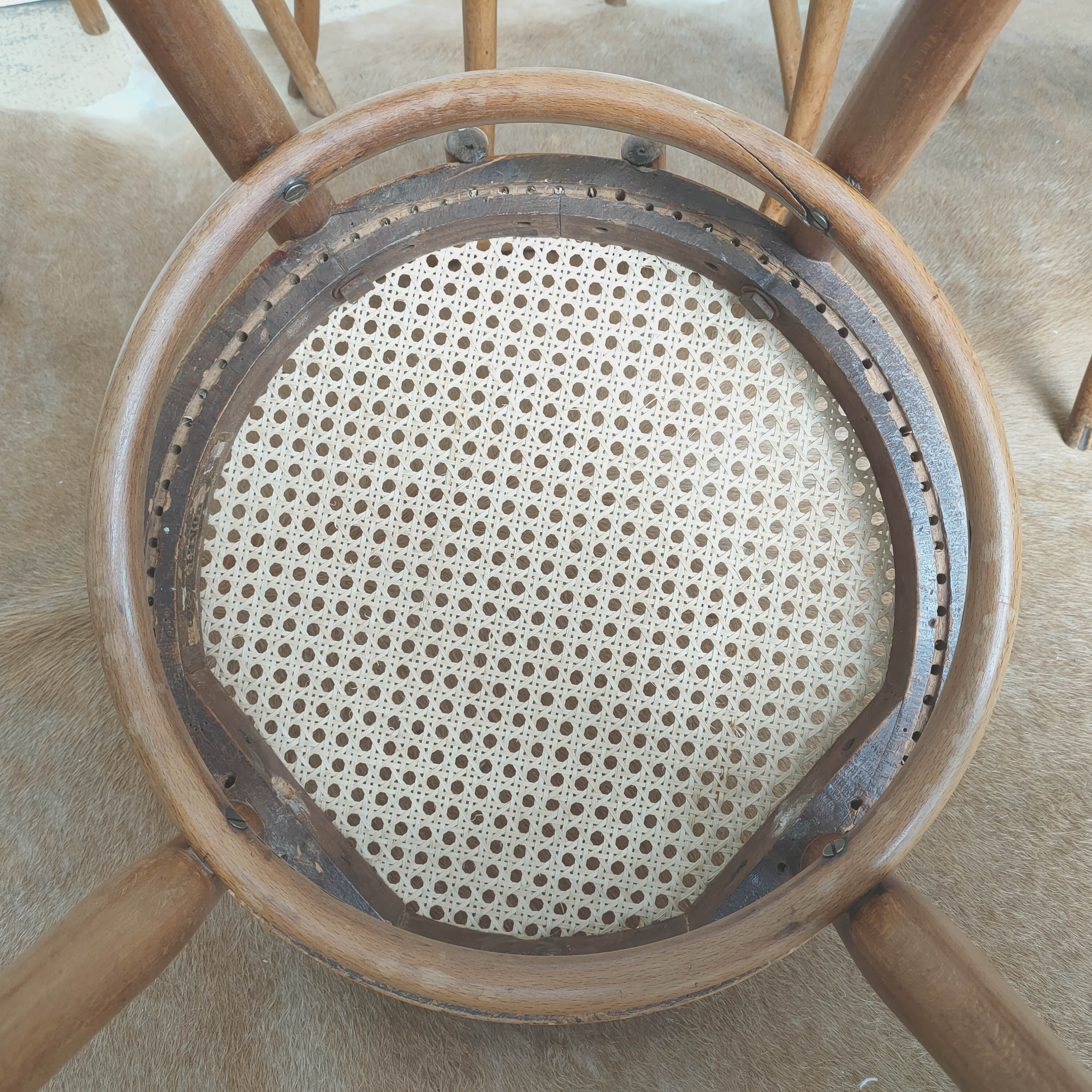 Set of four wooden chairs - canning Thonet