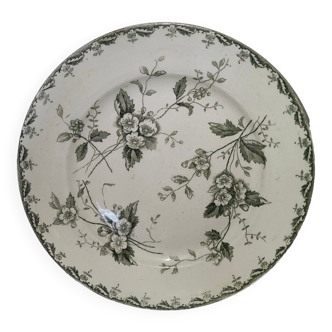 Old plate new galleries s.f.r saint amand and Hamage model Rosette