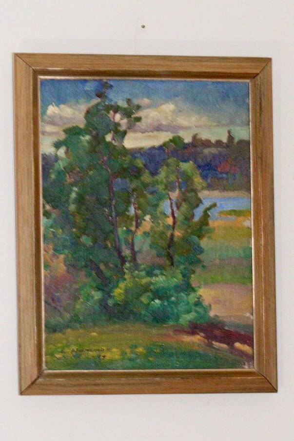 "Rural landscape" – E. Hammar