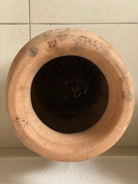 Terracotta pot