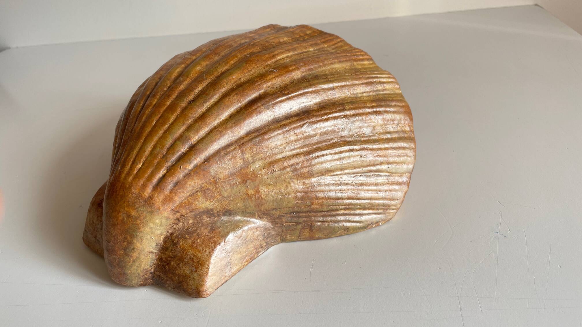 Shell wall enameled by aljezur