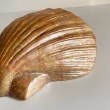 Shell wall enameled by aljezur