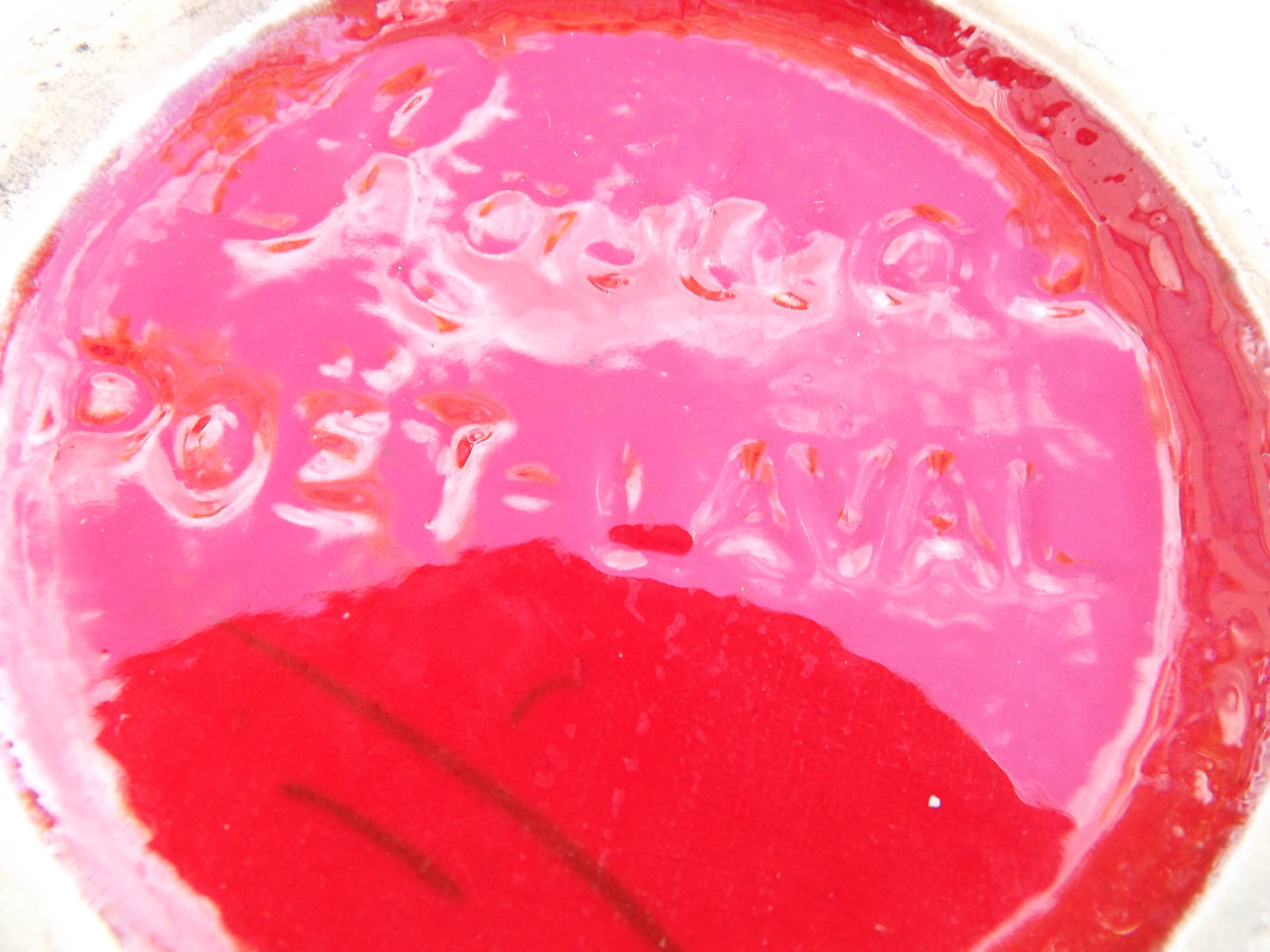 'Rasteau' chevrette at Poet Laval