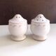 Vintage porcelain salt and pepper shaker duo