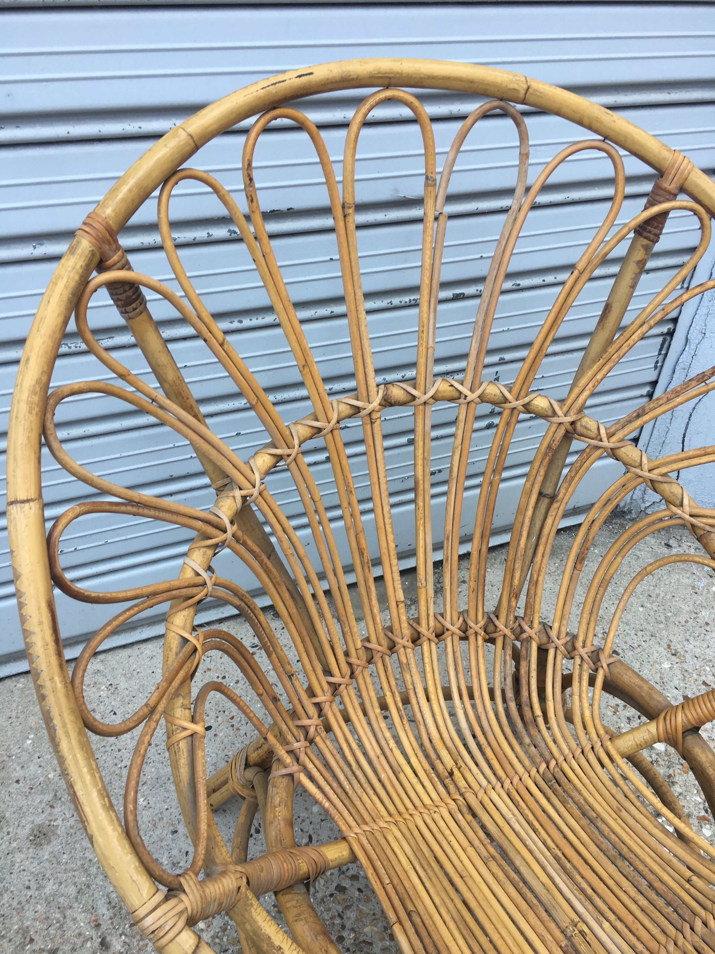 Peacock rattan chair