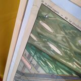 Vintage school poster