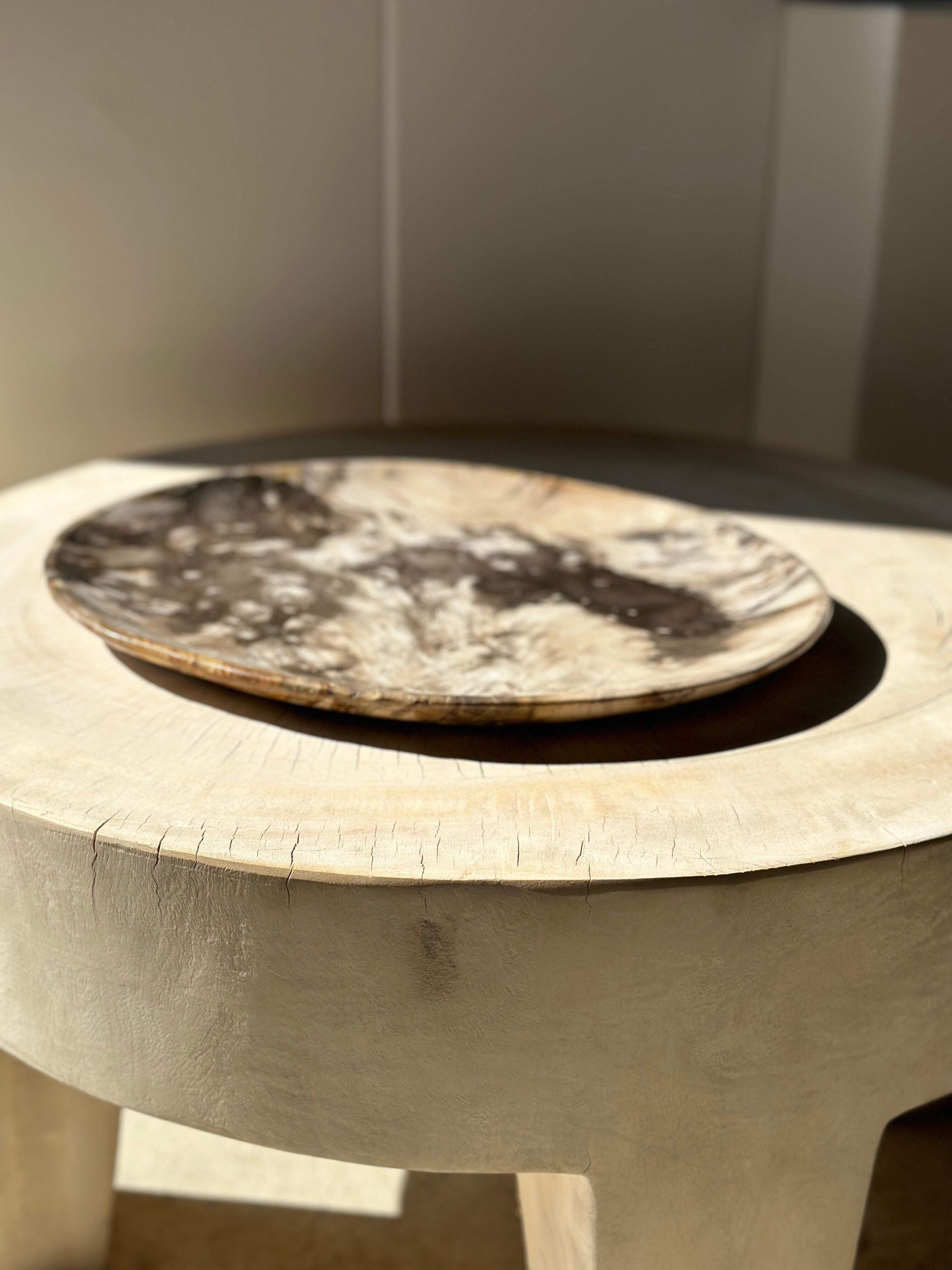 Very large empty pocket or petrified wooden flat