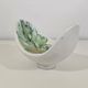 Sculptural ceramic bowl signed by Robert Bonfil, France, 1950s.