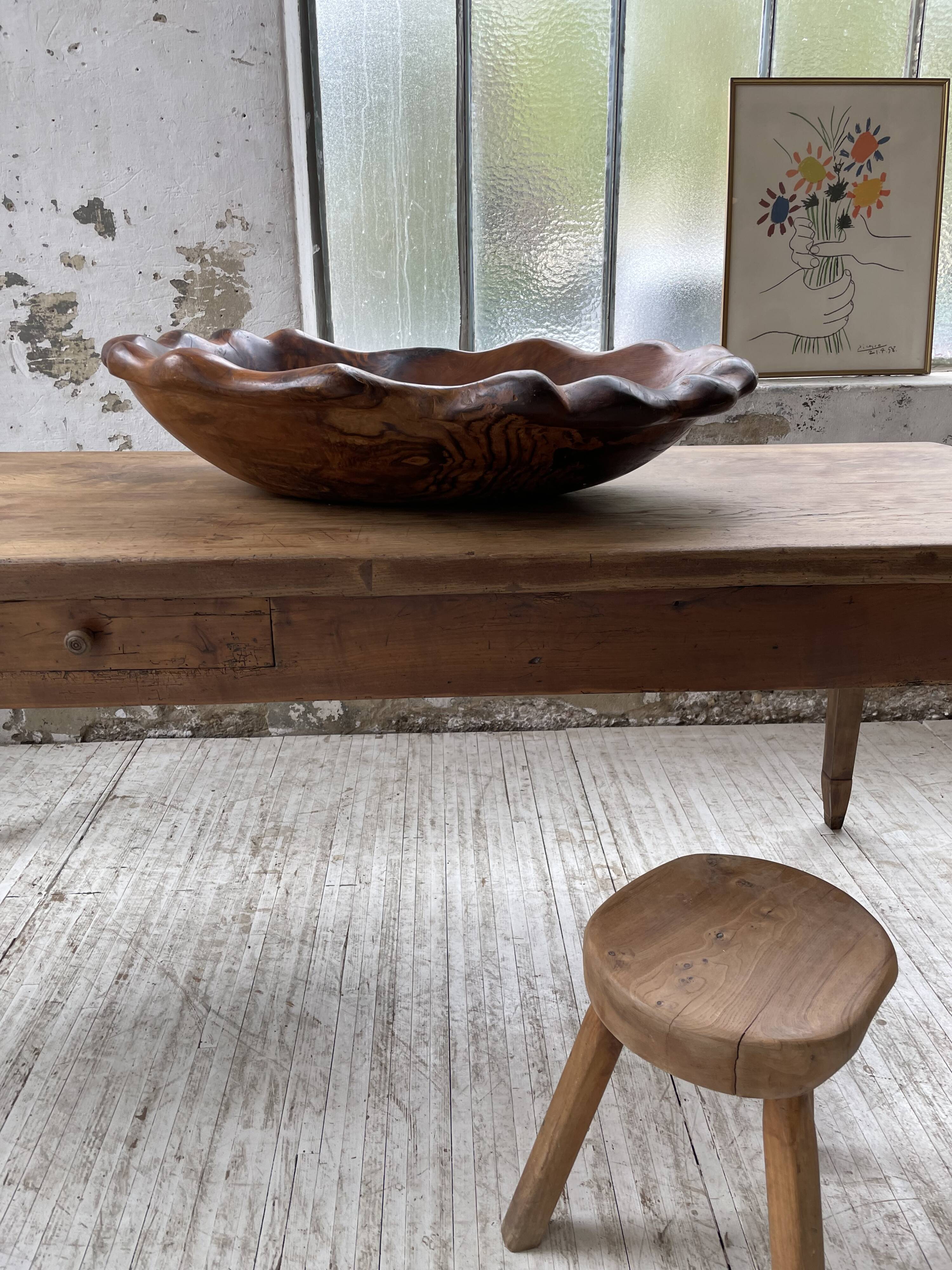 XL thuja root wooden dish