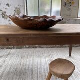 Plat en bois XL racine de thuya