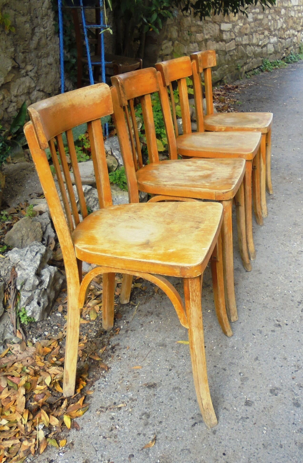 Baumann chairs
