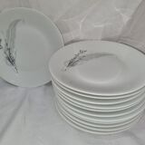 Fine porcelain plates from sologne, lamotte