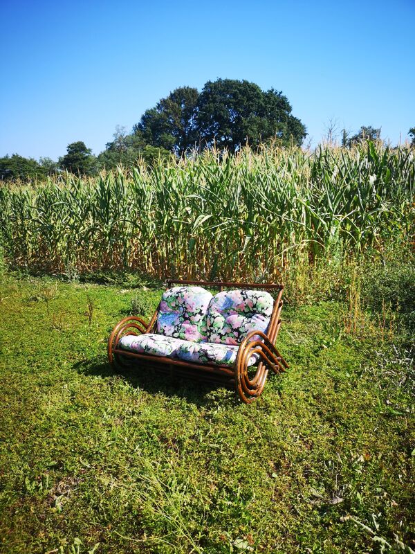 Salon bambou vintage