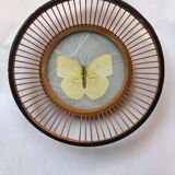 Butterfly frame