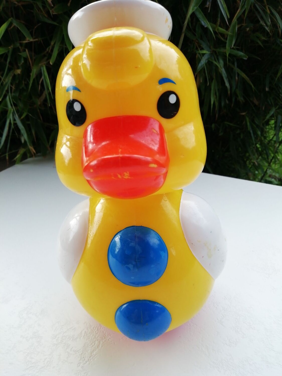 Duck culbuto