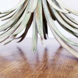 "Coco Chanel" coffee table 50/60s