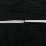 Box 12 knives entremet dessert silver metal cheese