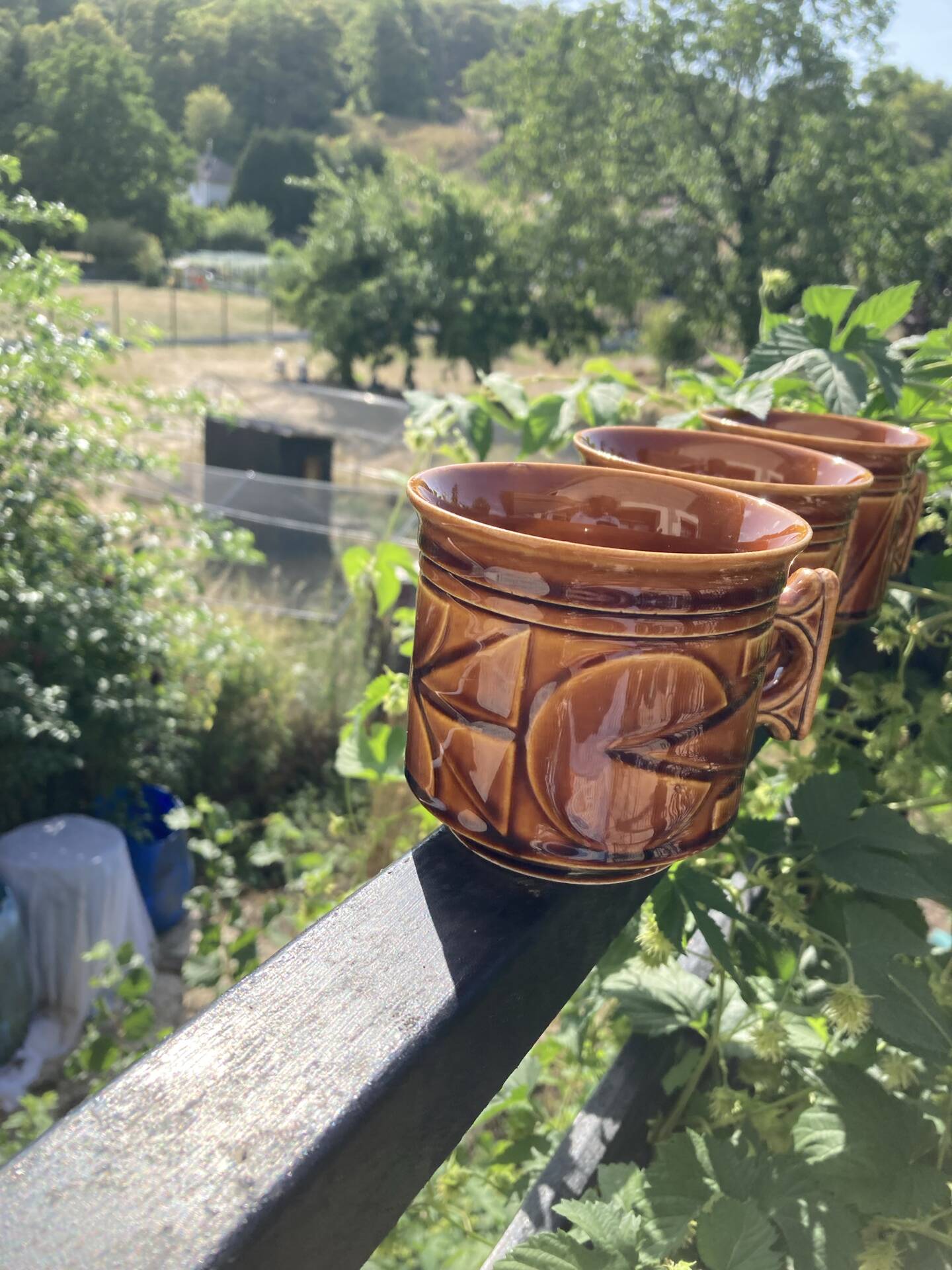 Space Age camel mugs