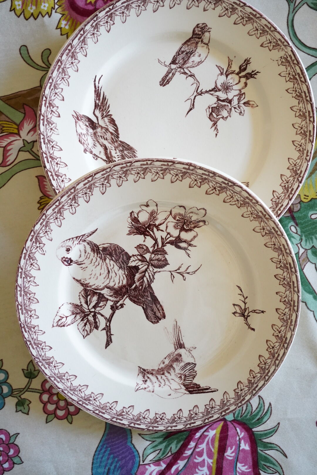 2 Old Dessert Plates "Buffon", iron earth, Sarreguemines