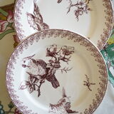 2 Old Dessert Plates "Buffon", iron earth, Sarreguemines