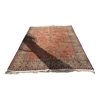 Shirvan rug