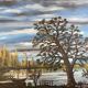 Lake landscape, Vendée marshes, oil on canvas signed Guy Charles