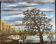 Lake landscape, Vendée marshes, oil on canvas signed Guy Charles