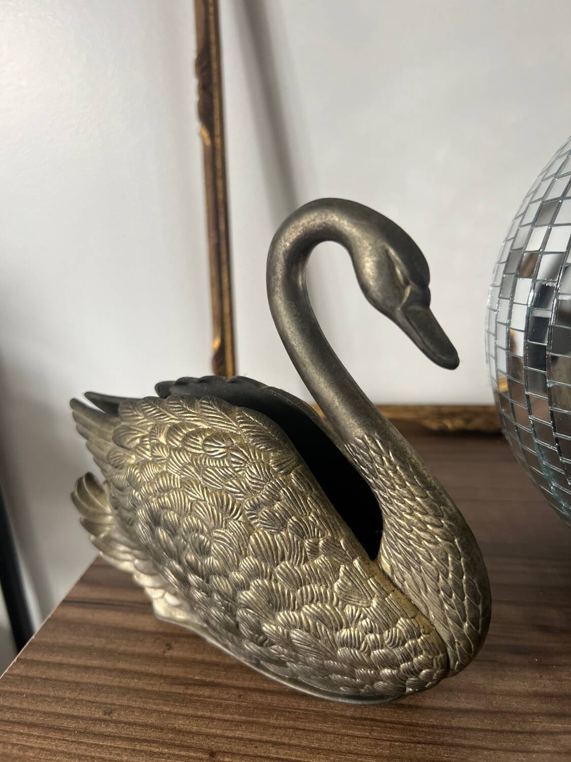 Swan