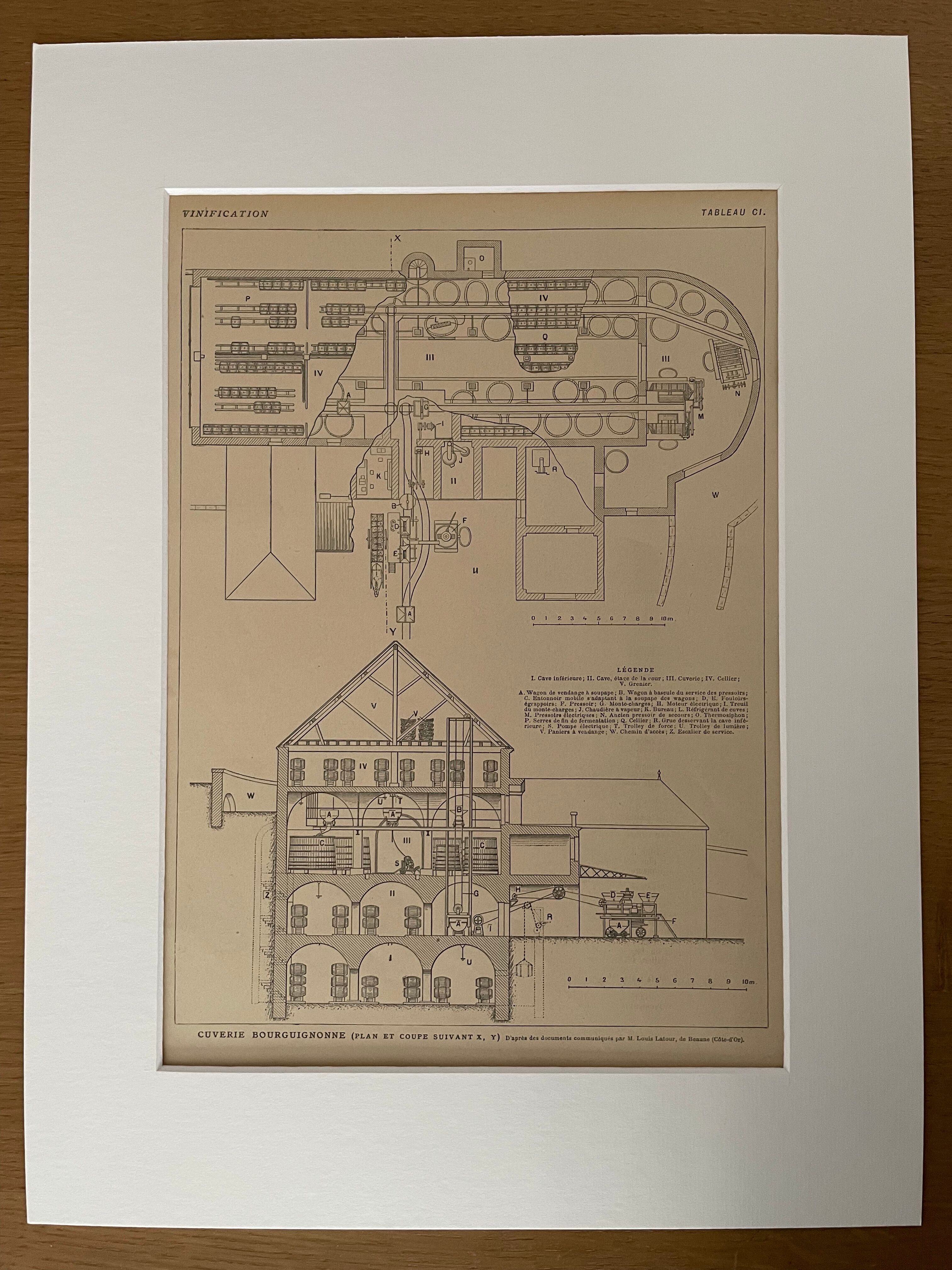 Lithograph on winemaking - 1920