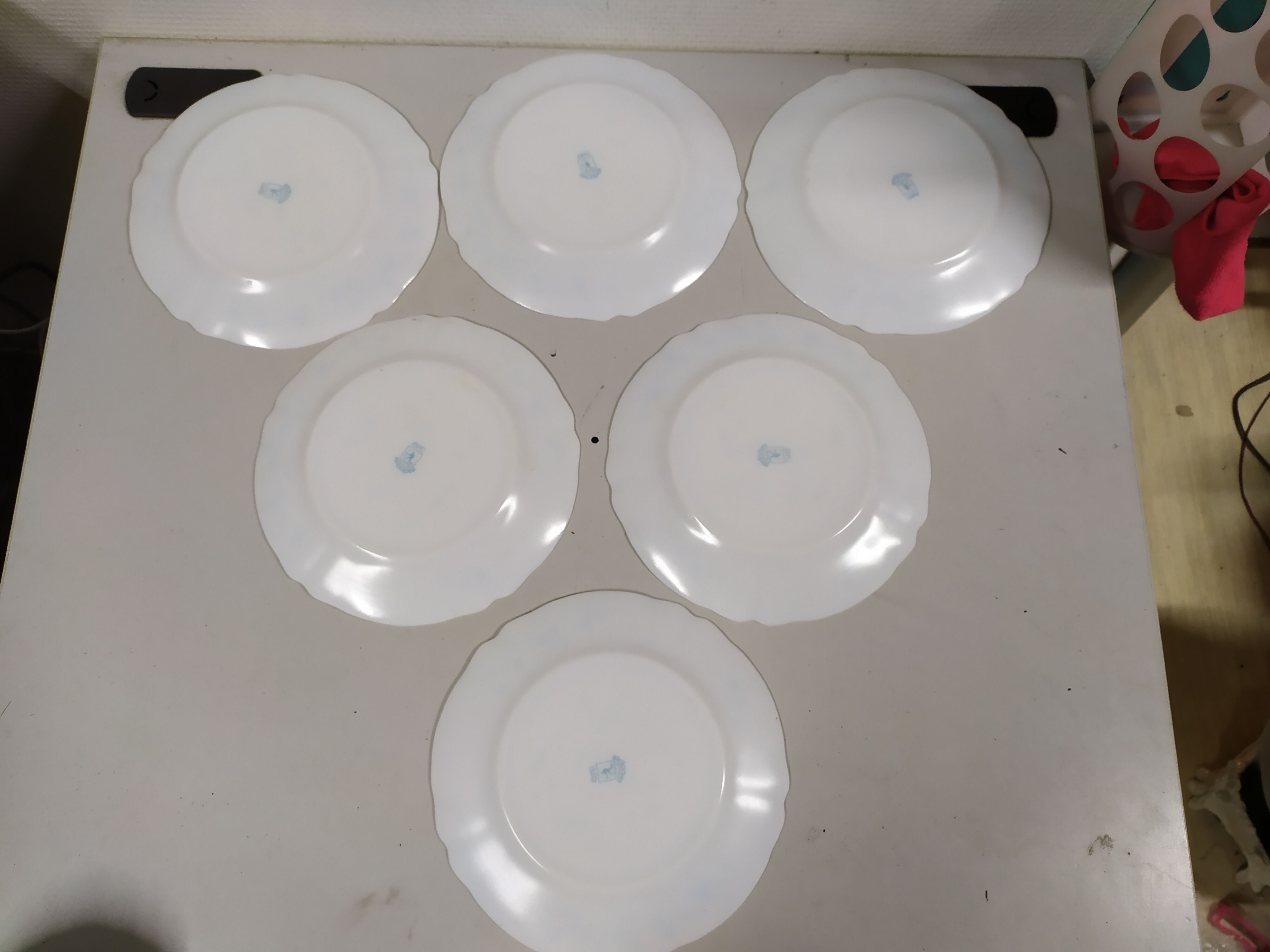 Lot de 6 assiettes plate Arcopal Véronica Myosotis fleur bleu vintage
