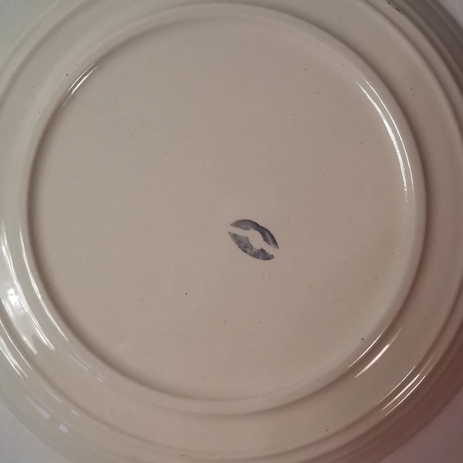 6 Ceramic Plates Vintage Botanical Floral Decor TBE