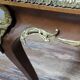 Louis XV style coffee table in marquetry and patinated bronzes circa 1950