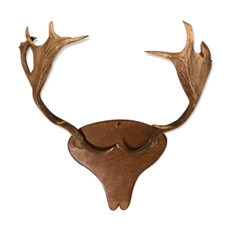 Trophé de chasse