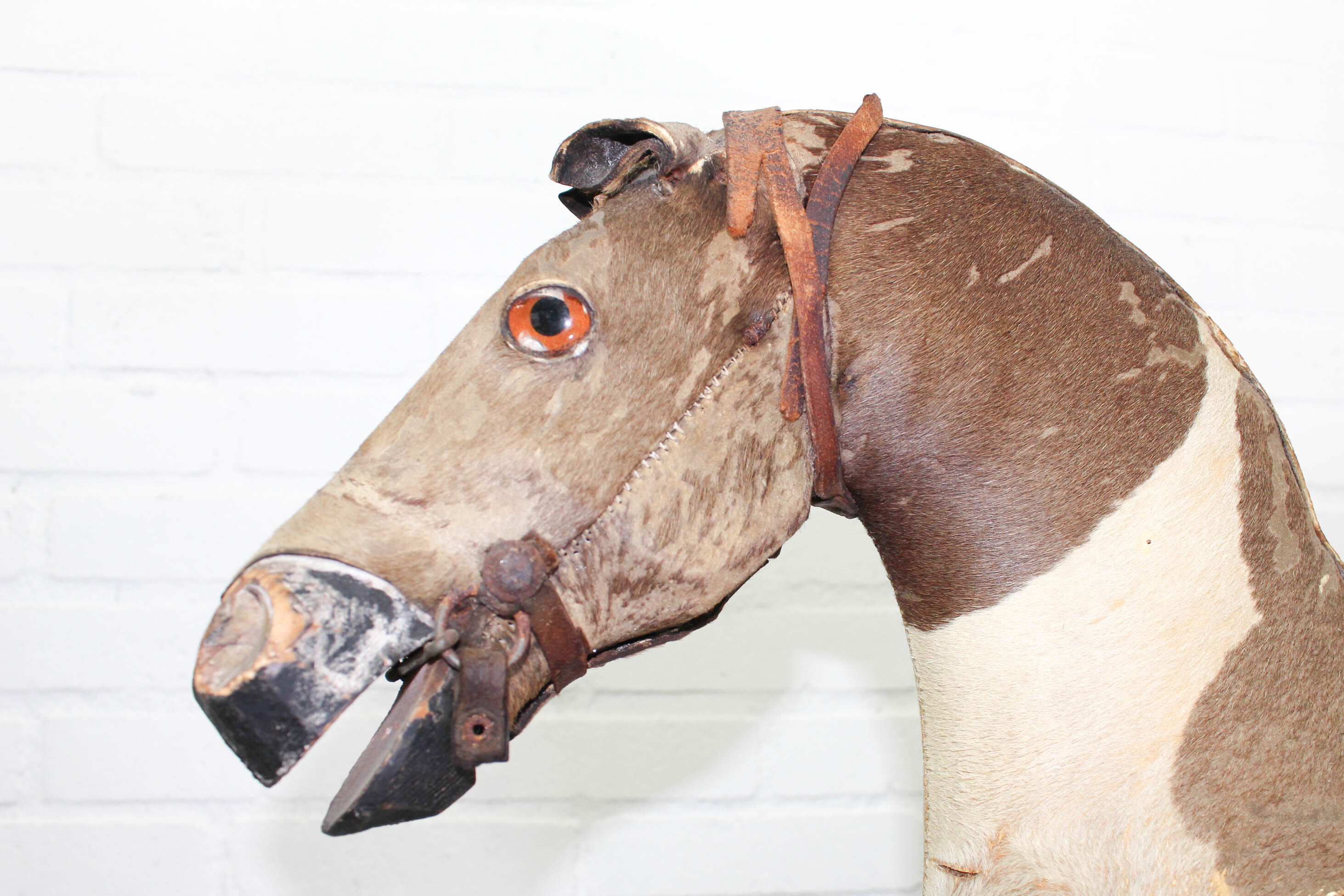 Victorian taxidermy toy horse, late 19th century.
