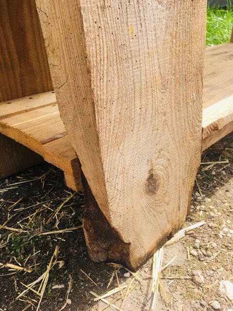 great set in '30s pretty pattine fir