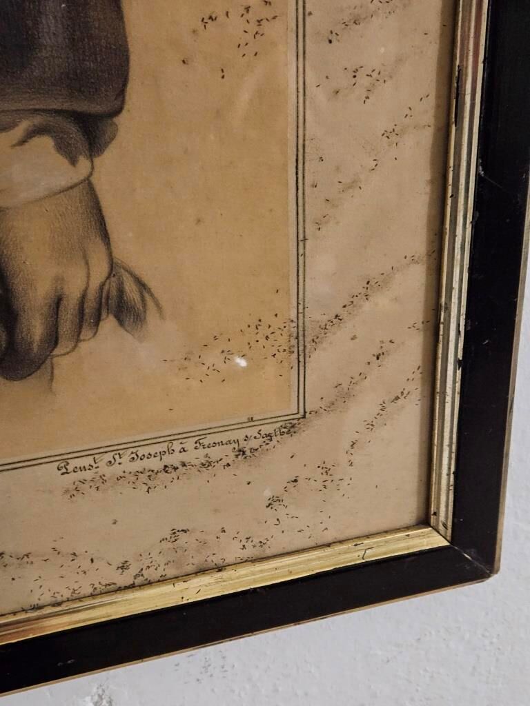 Portrait of the little sailor