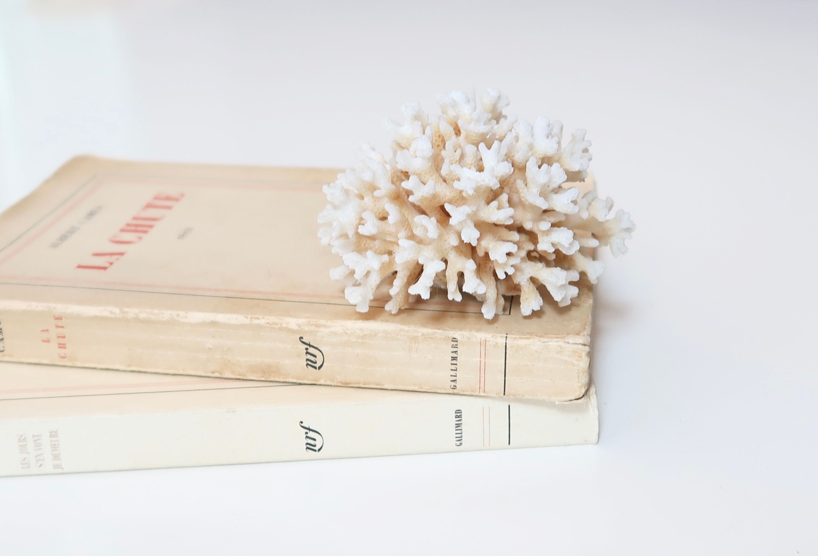 Branche de corail blanc années 70