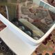 Desserte roulante vintage années 70 en plastique et miroir fumé