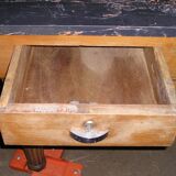 Butcher's log at 6 feet late nineteenth