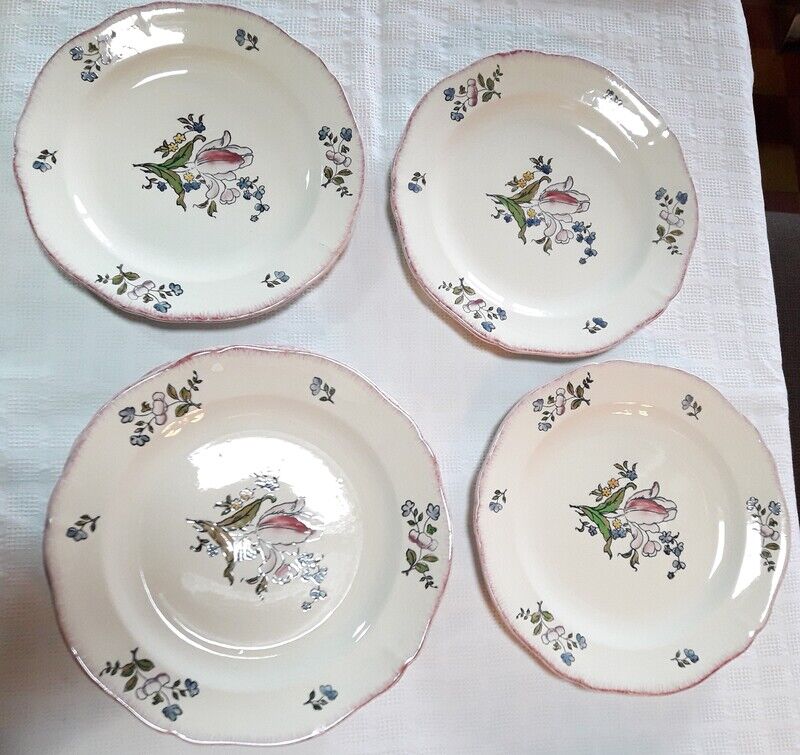 Set of 13 plates Gien earthenware 25cm