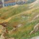 Tableau paysage 1903