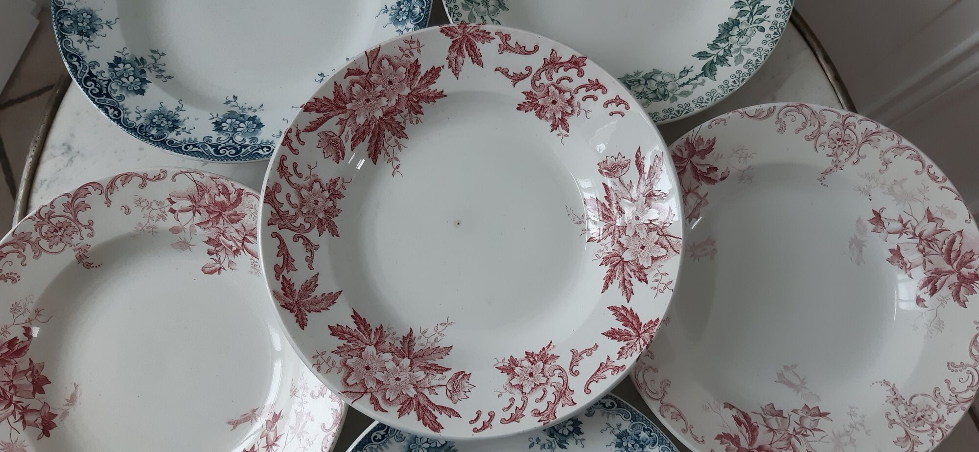 Set of 6 hollow plates Terre de Fer XIXth Saint Amand "Campanule" "Anémone"